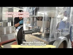 ZP17B チキンキューブ 蒸発性錠剤錠剤プレス機