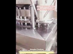 ZPW19 二色食器洗い機用錠剤プレス機 2 層発泡錠剤メーカー