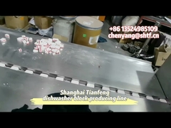 100KN 3層食器洗い機 動物用医薬品 獣医用薬 ピル 錠剤プレス