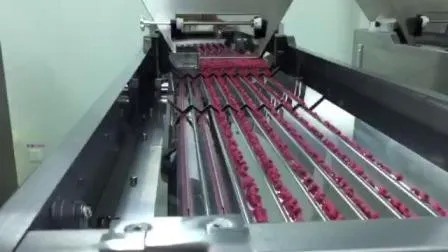 高速380V医薬品ボトル充填生産ライン（60ml 80ml 100mlボトル用、1年保証付き）